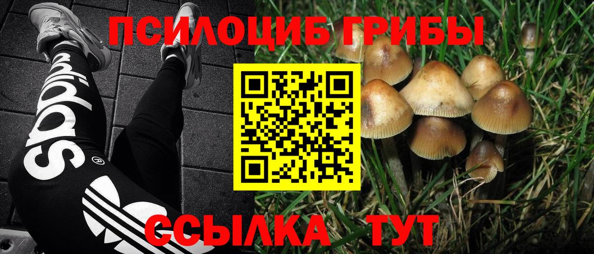Псилоцибиновые грибы мухоморы  Вход с VPN  Златоуст 