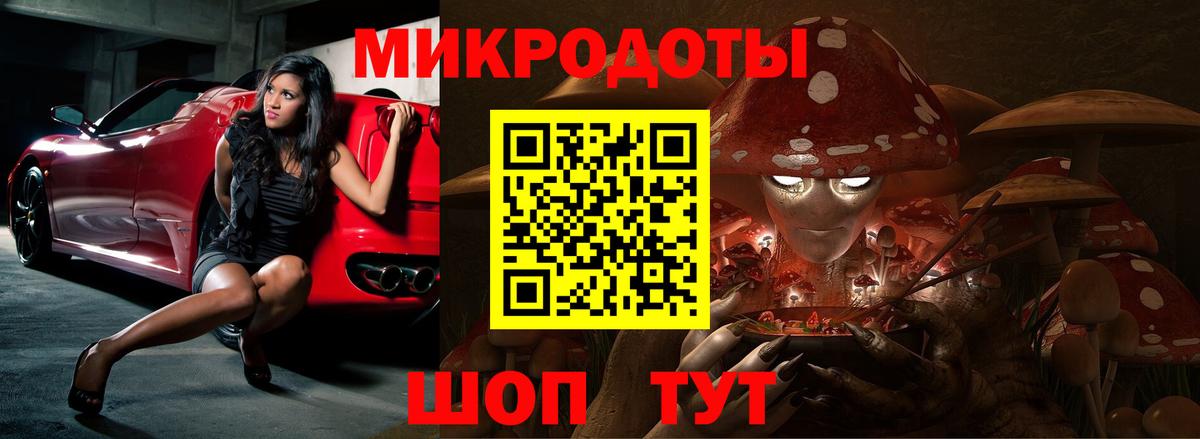 Галлюциногенные грибы Psilocybine cubensis Златоуст